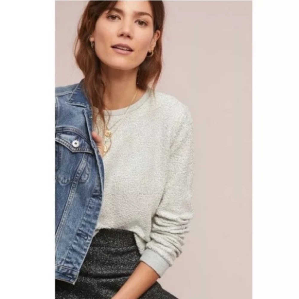 Anthropologie Dolan Silver Metallic Pullover Sweater